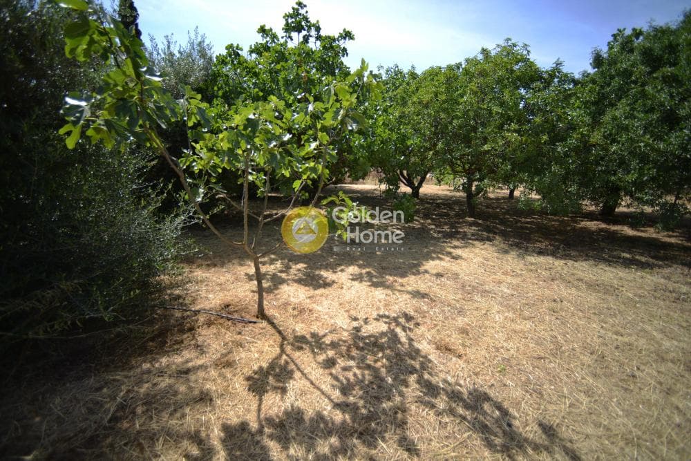 Οικόπεδο στην Κοκκινιά, Μαρούσι — Φωτογραφία 7 από 8