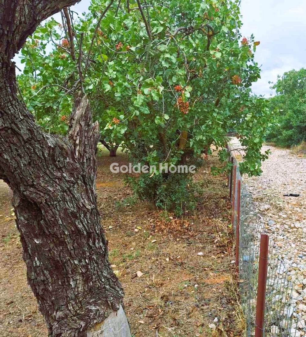 Οικόπεδο στην Κοκκινιά, Μαρούσι — Φωτογραφία 4 από 8