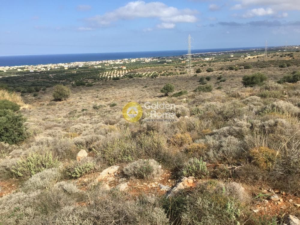 Αγροτεμάχιο στην Πελεκητά, Γούβες — Φωτογραφία 3 από 5