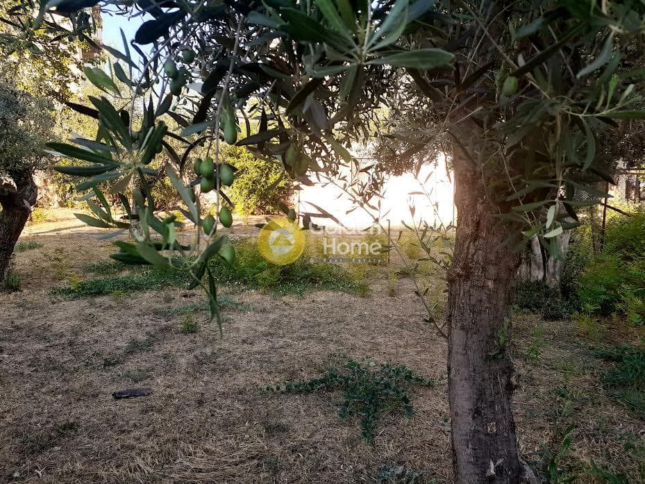 Οικόπεδο στην Κέντρο, Μεταμόρφωση — Φωτογραφία 3 από 7