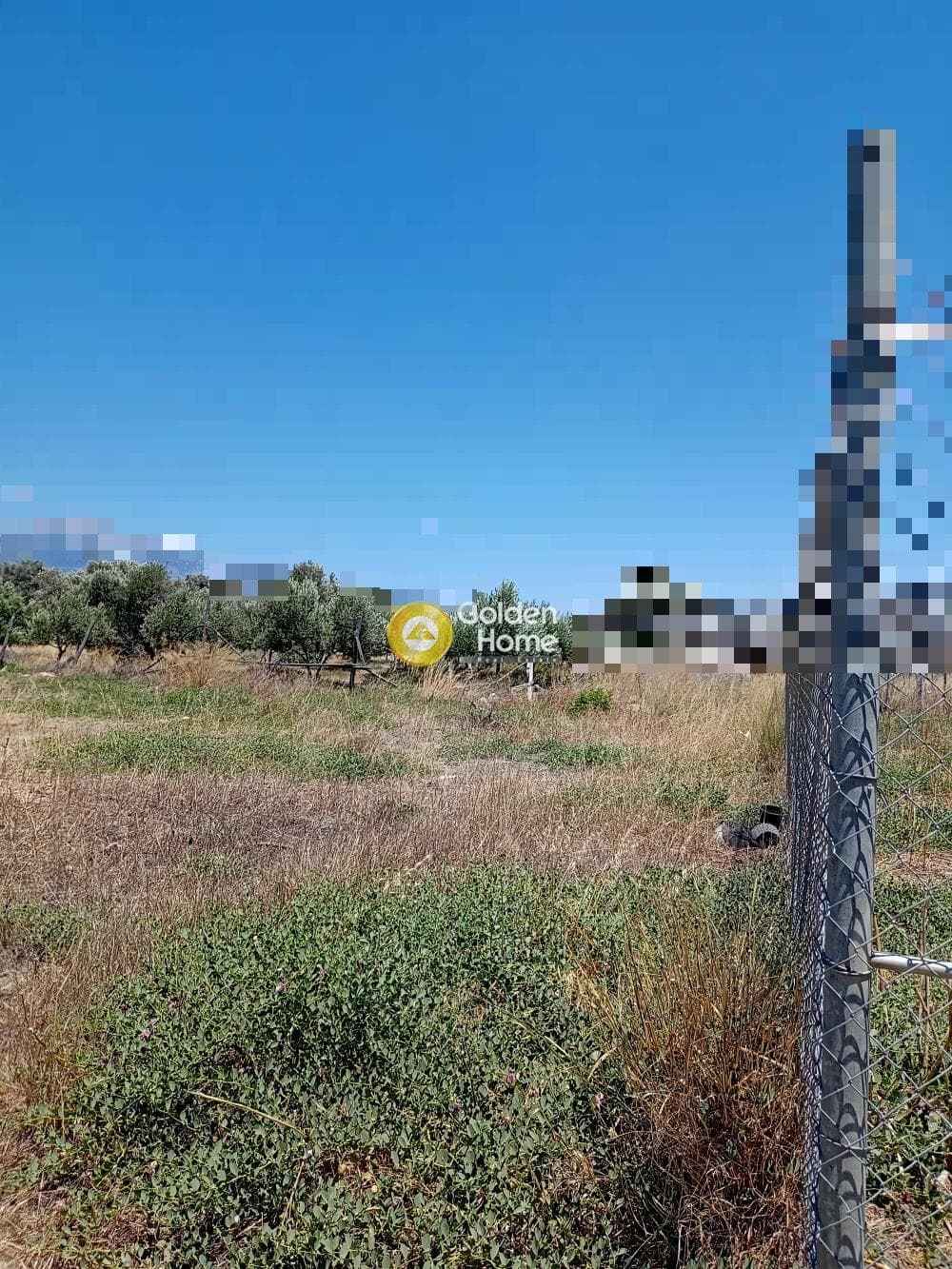 Αγροτεμάχιο στην Κόκκινος Πύργος, Τυμπάκι — Φωτογραφία 2 από 2