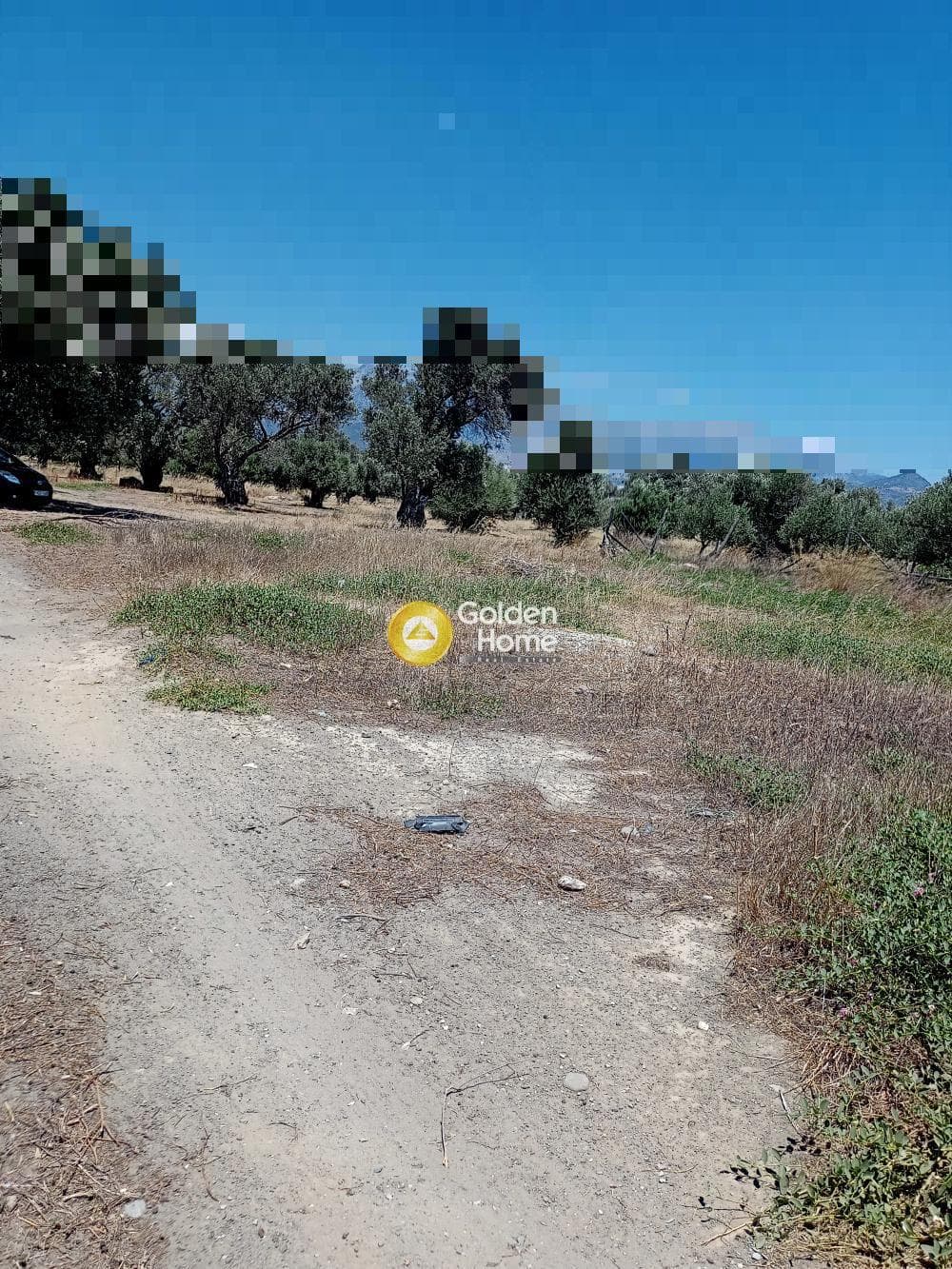 Αγροτεμάχιο στην Κόκκινος Πύργος, Τυμπάκι — Φωτογραφία 1 από 2