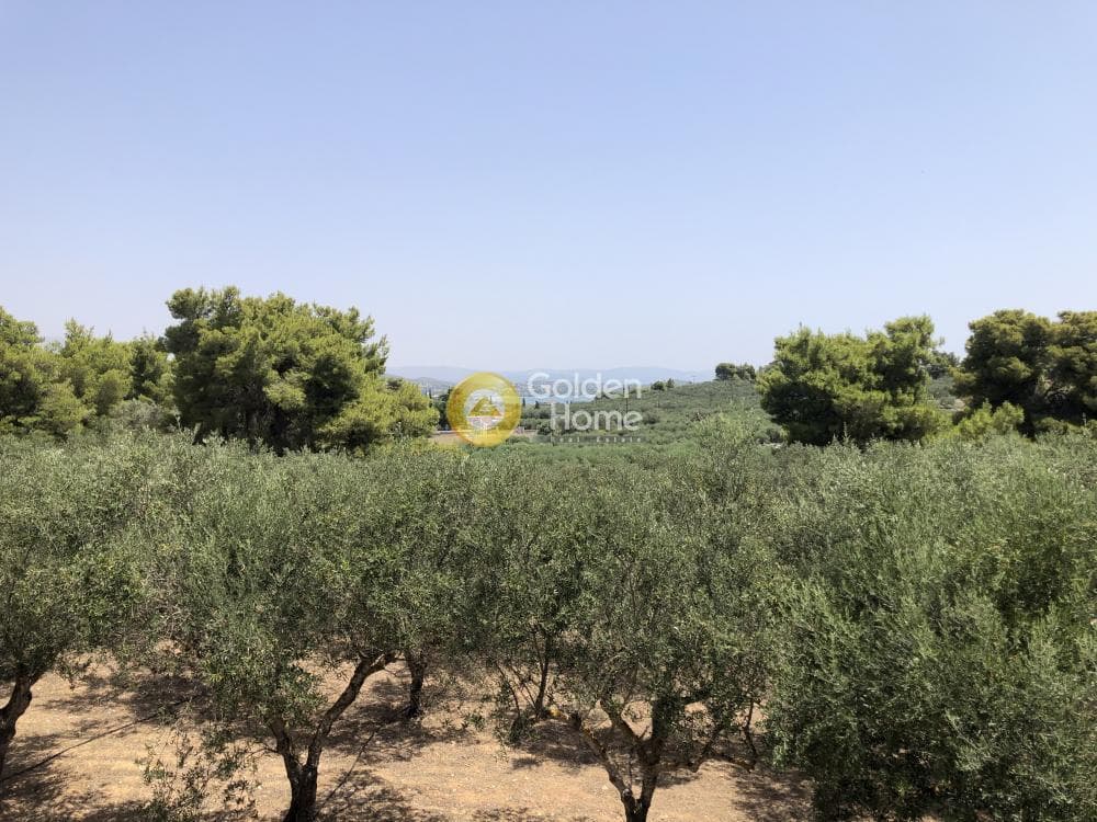 House in Vergeika, Spetses — Photo 54 of 55
