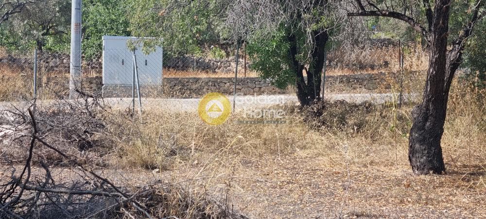 Building Plot in Therma, Aegina — Photo 4 of 7