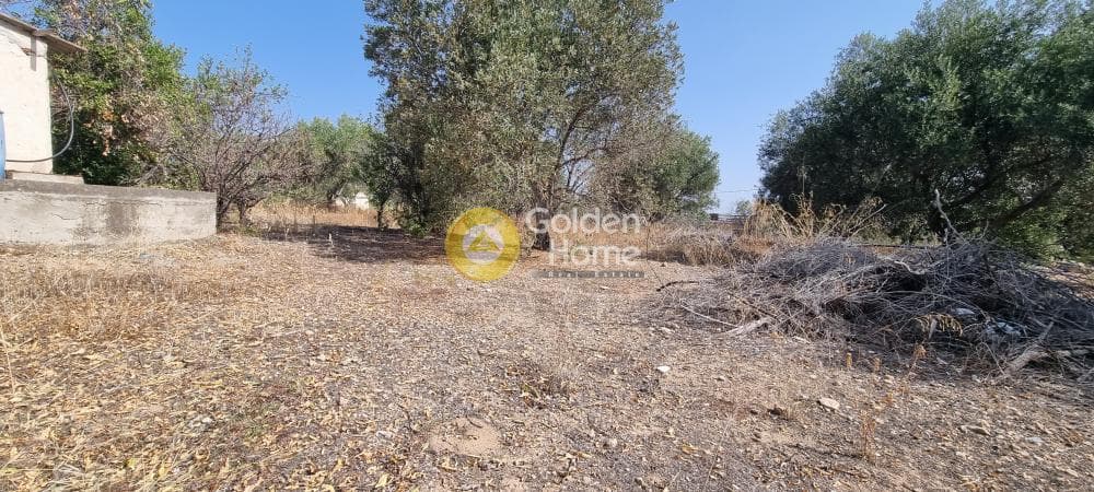Building Plot in Therma, Aegina — Photo 2 of 7