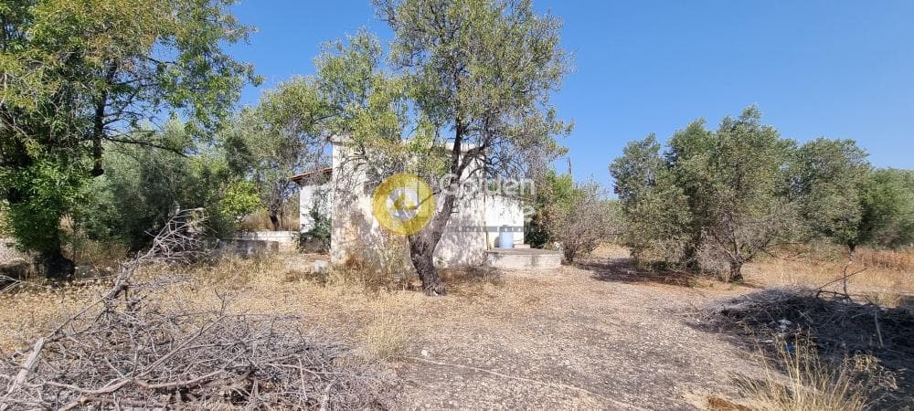 Building Plot in Therma, Aegina — Photo 1 of 7