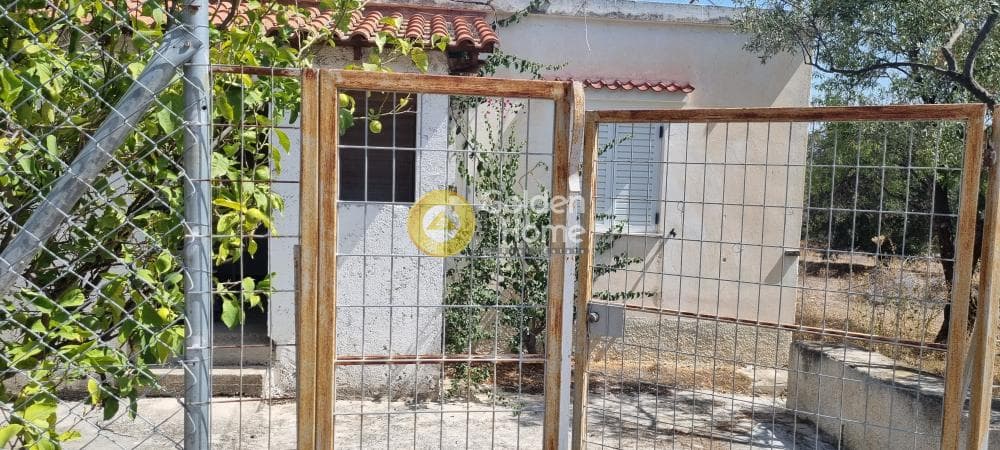 Building Plot in Therma, Aegina — Photo 6 of 7