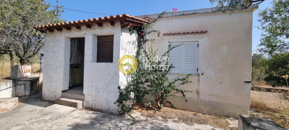Building Plot in Therma, Aegina — Photo 7 of 7