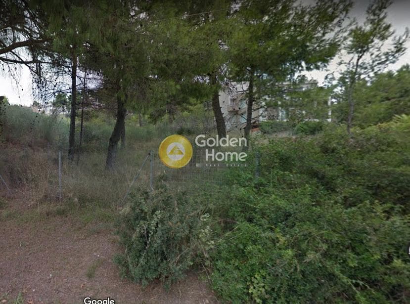 Building Plot in Kapitenia, Agios Stefanos — Photo 1 of 2