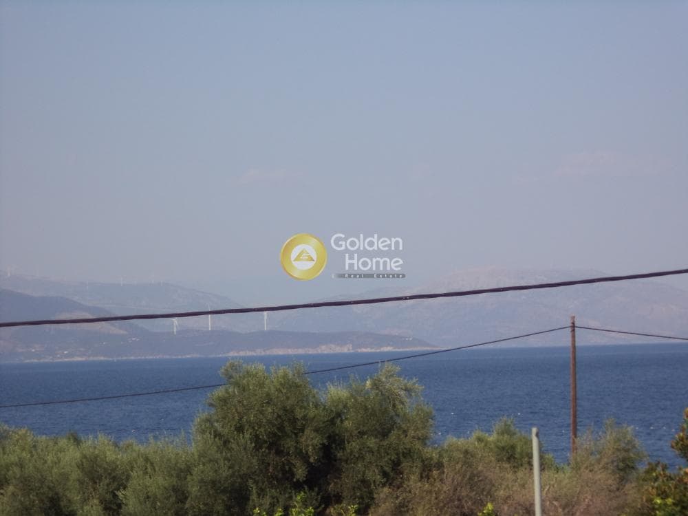 Μονοκατοικία στην Ροδοδάφνη, Αίγιο — Φωτογραφία 2 από 33