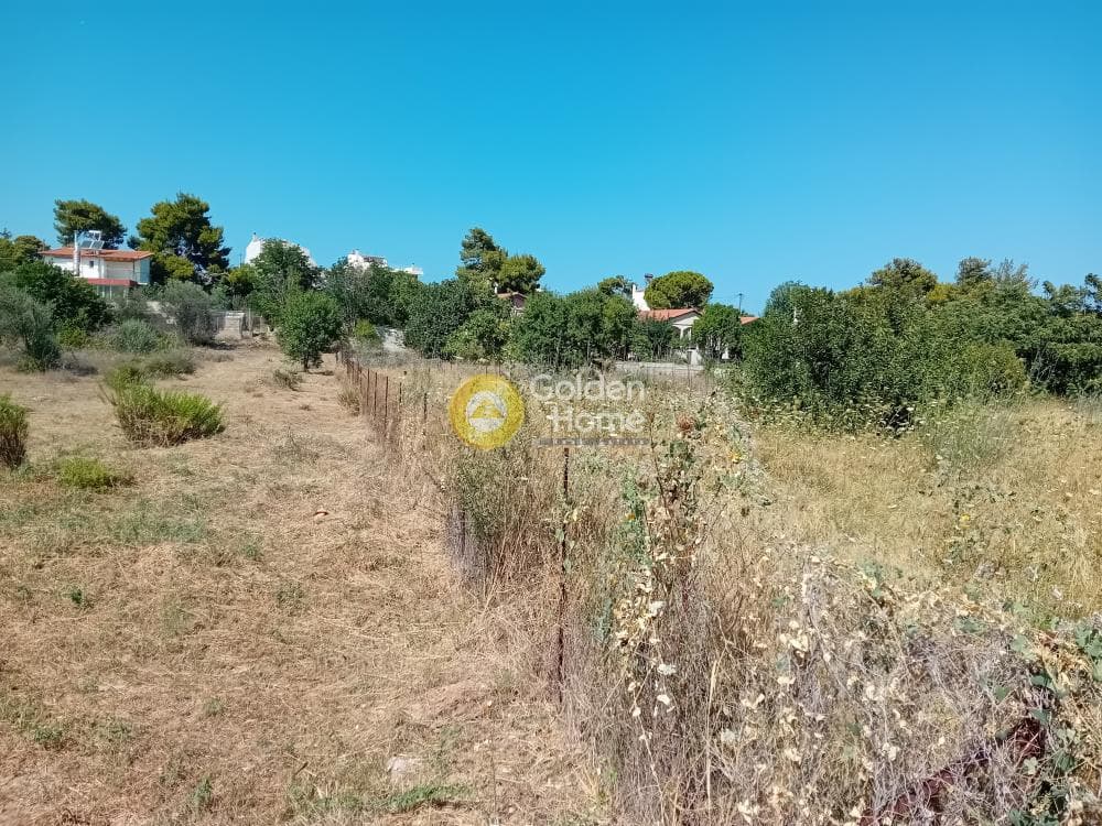 Οικόπεδο στην Άγιος Σεραφείμ, Αρτέμιδα (Λούτσα) — Φωτογραφία 4 από 4