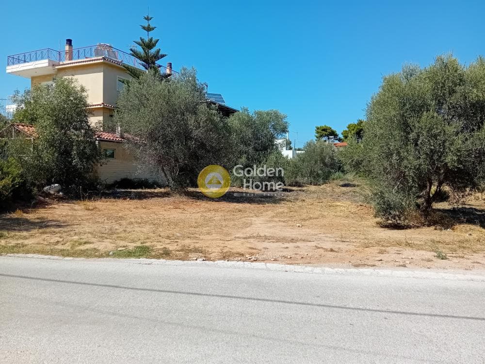Οικόπεδο στην Άγιος Σεραφείμ, Αρτέμιδα (Λούτσα) — Φωτογραφία 3 από 4