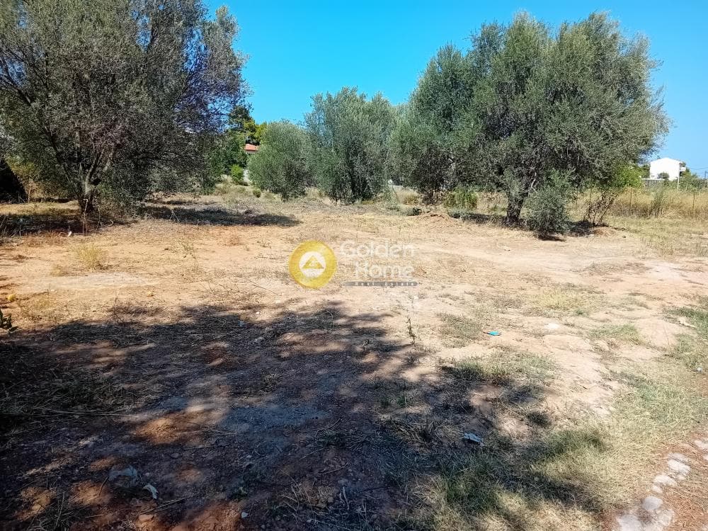 Οικόπεδο στην Άγιος Σεραφείμ, Αρτέμιδα (Λούτσα) — Φωτογραφία 2 από 4