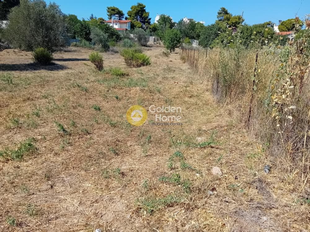 Οικόπεδο στην Άγιος Σεραφείμ, Αρτέμιδα (Λούτσα) — Φωτογραφία 1 από 4