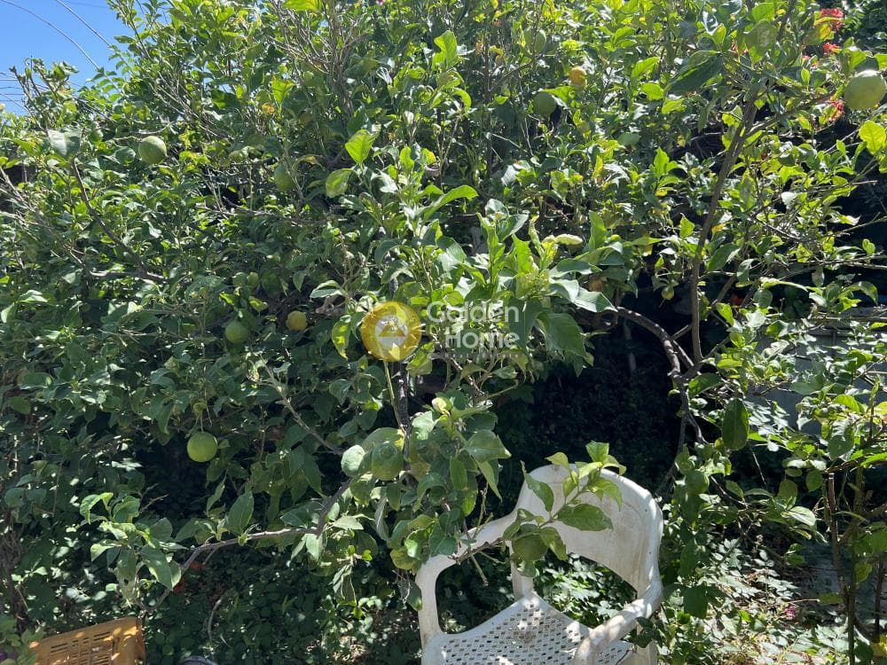 Building Plot in Marmara, Paros — Photo 1 of 2