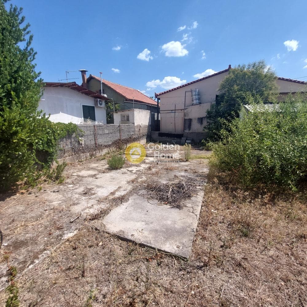 Μονοκατοικία στην Δήλεσι, Οινόφυτα — Φωτογραφία 6 από 12
