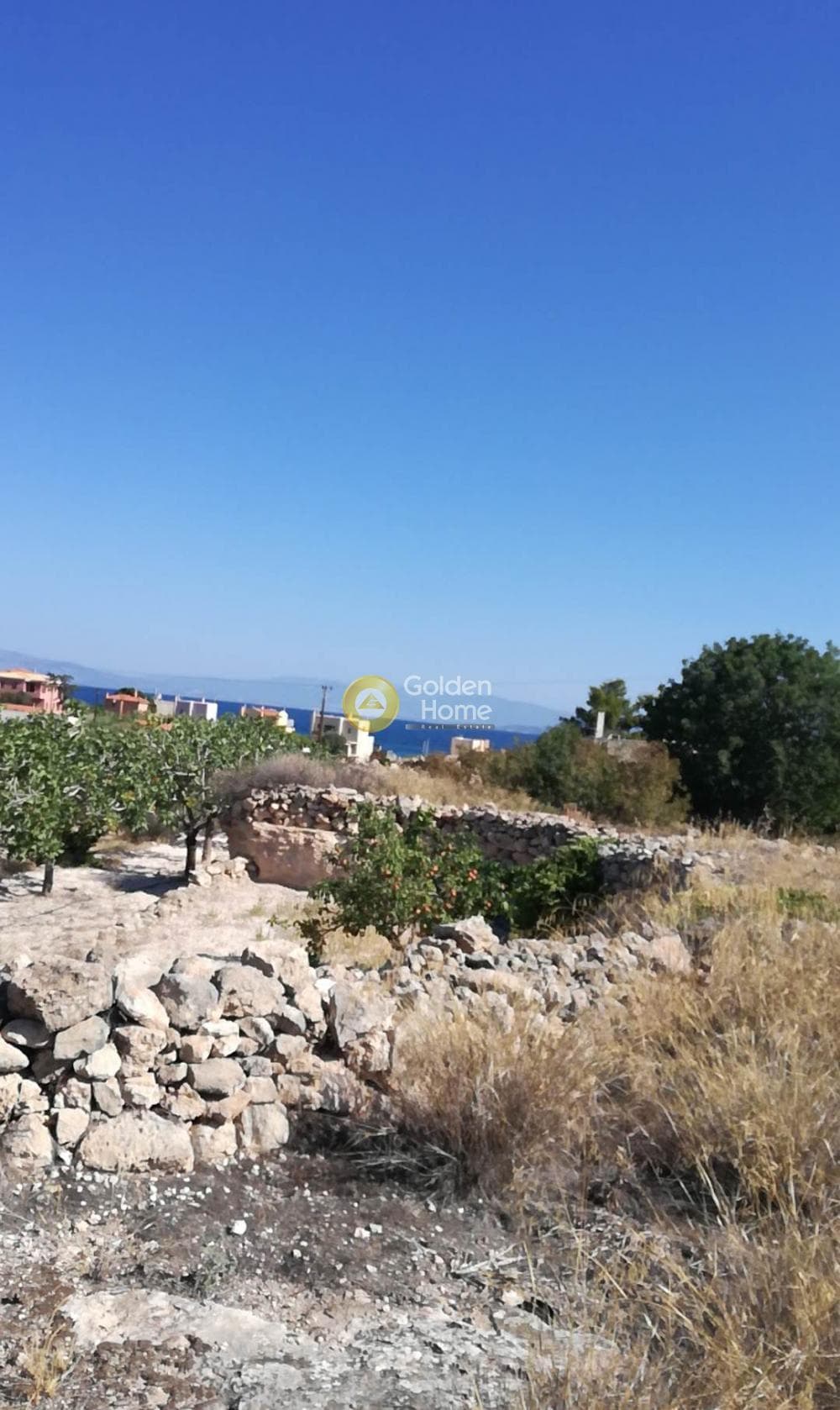 Building Plot in Kipseli, Aegina — Photo 3 of 10