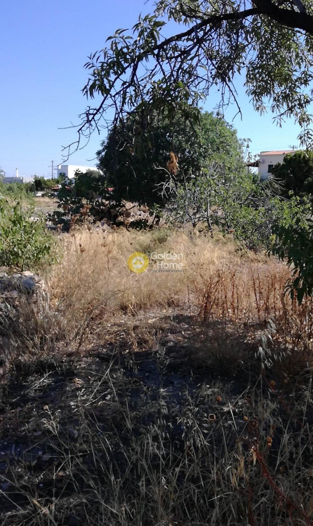 Building Plot in Kipseli, Aegina — Photo 4 of 10