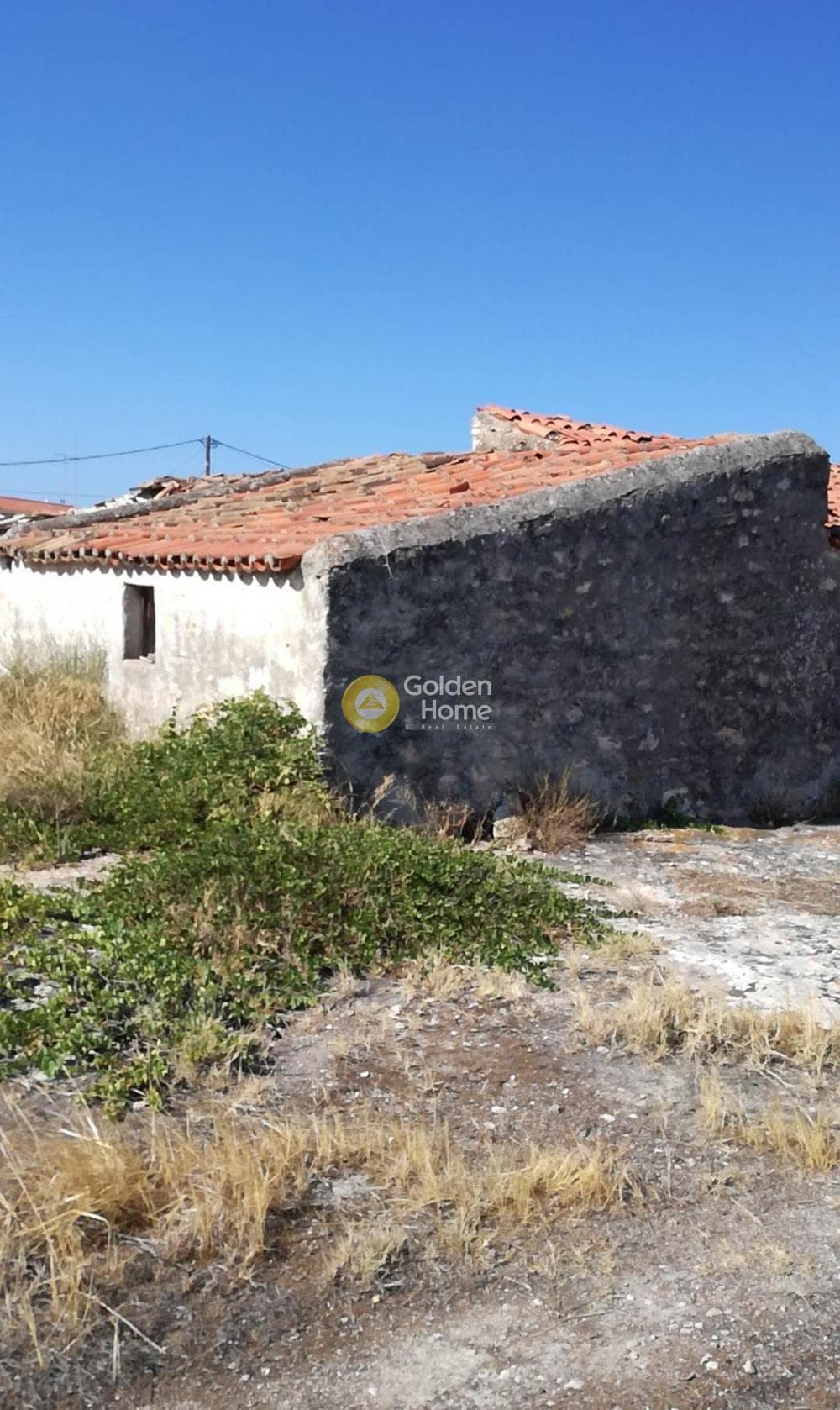 Building Plot in Kipseli, Aegina — Photo 9 of 10