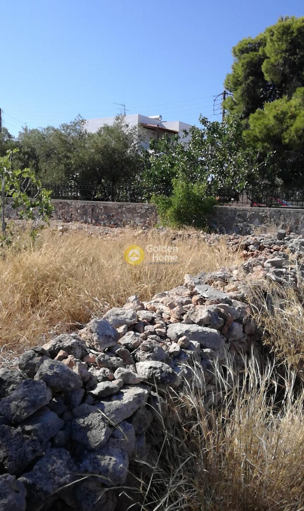 Building Plot in Kipseli, Aegina — Photo 2 of 10