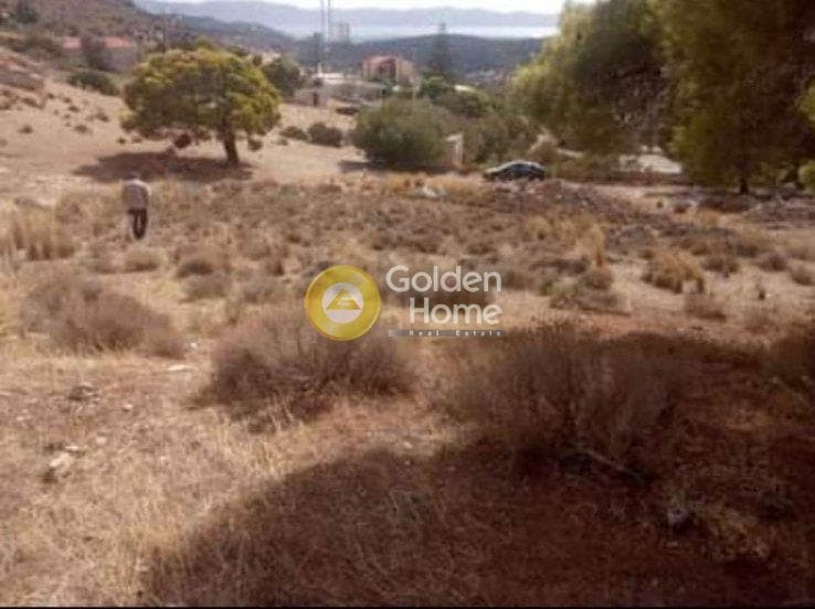 Αγροτεμάχιο στην Βένιο Δασκαλειού, Κερατέα — Φωτογραφία 2 από 6