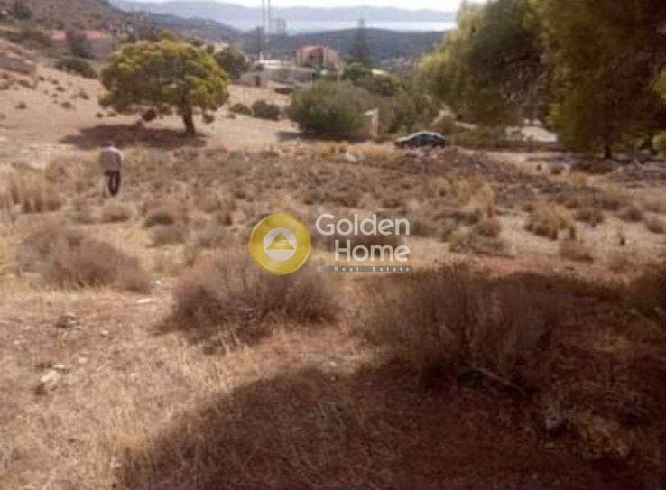 Αγροτεμάχιο στην Βένιο Δασκαλειού, Κερατέα — Φωτογραφία 4 από 6