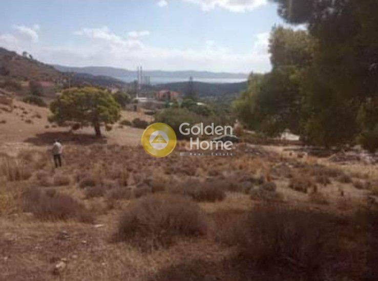 Αγροτεμάχιο στην Βένιο Δασκαλειού, Κερατέα — Φωτογραφία 1 από 6