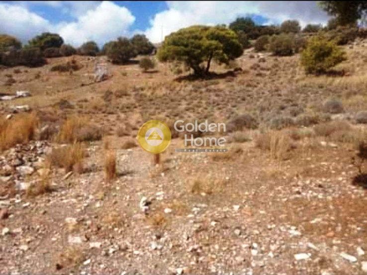 Αγροτεμάχιο στην Βένιο Δασκαλειού, Κερατέα — Φωτογραφία 3 από 6