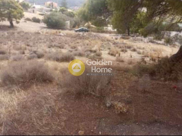 Αγροτεμάχιο στην Βένιο Δασκαλειού, Κερατέα — Φωτογραφία 6 από 6