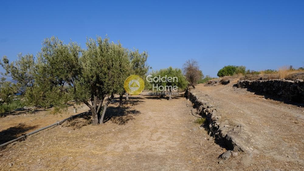 Building Plot in Pagoni, Aegina — Photo 2 of 2