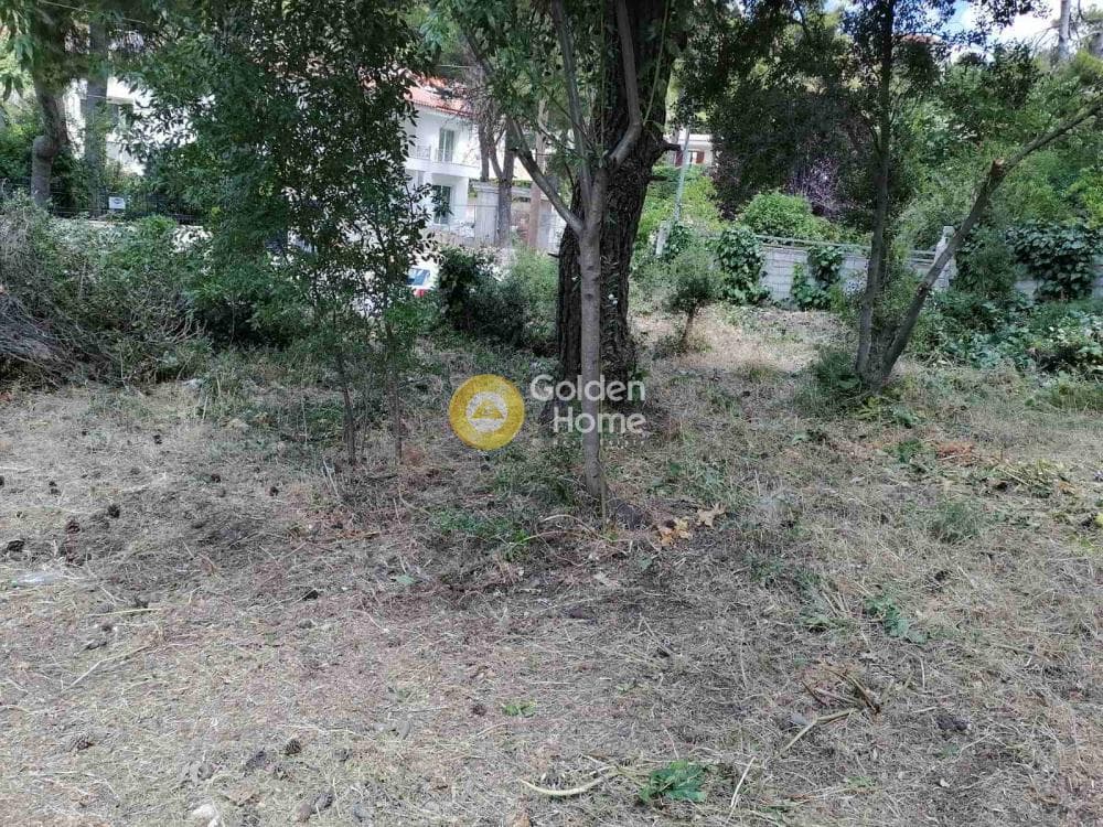 Building Plot in Rodopoli, Rodopoli — Photo 1 of 2