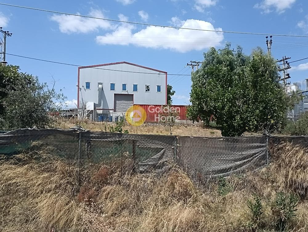 Οικόπεδο στην Πυργούθι, Αχαρνές — Φωτογραφία 10 από 15