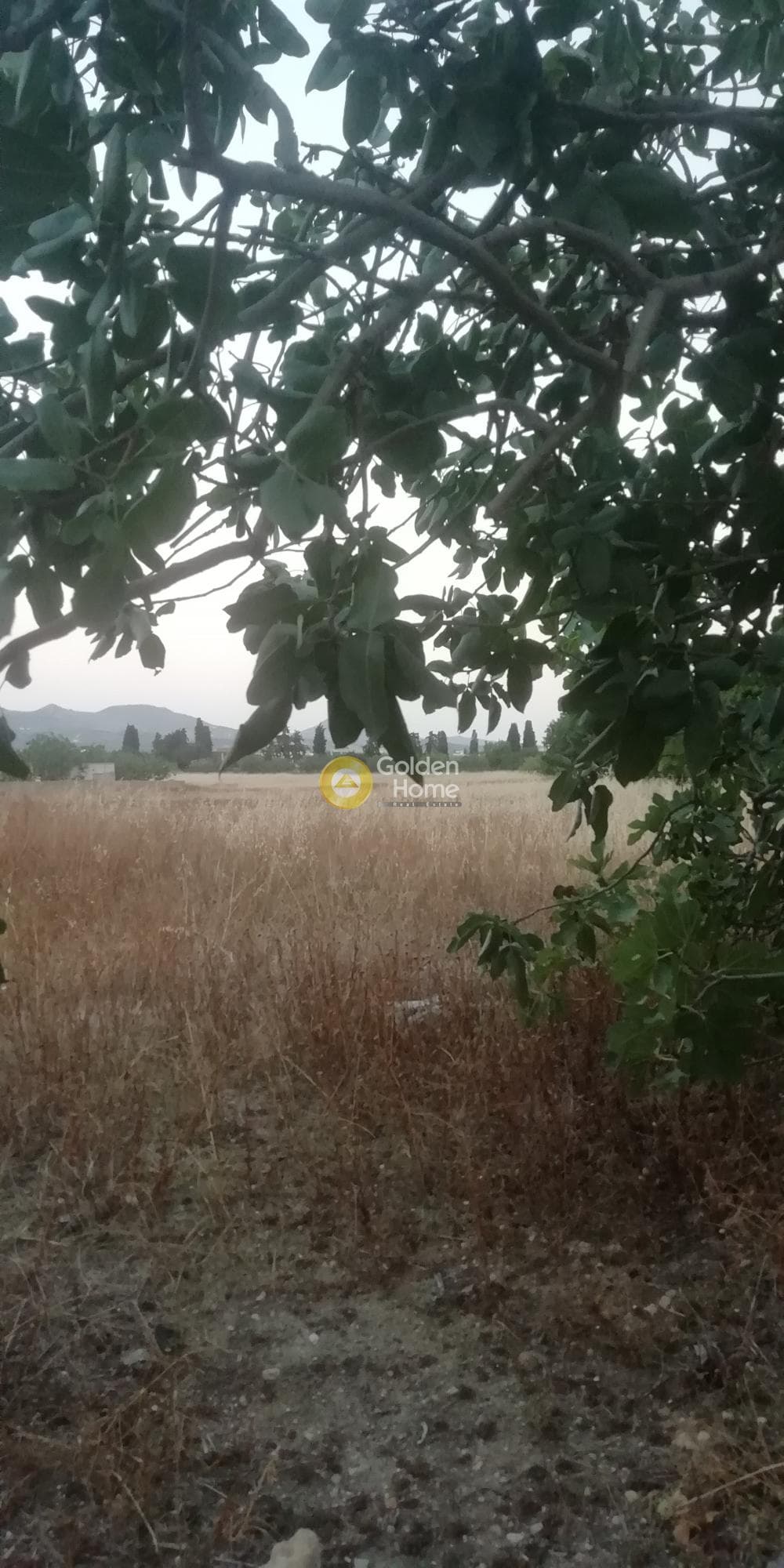 Building Plot in Kipseli, Aegina — Photo 3 of 3