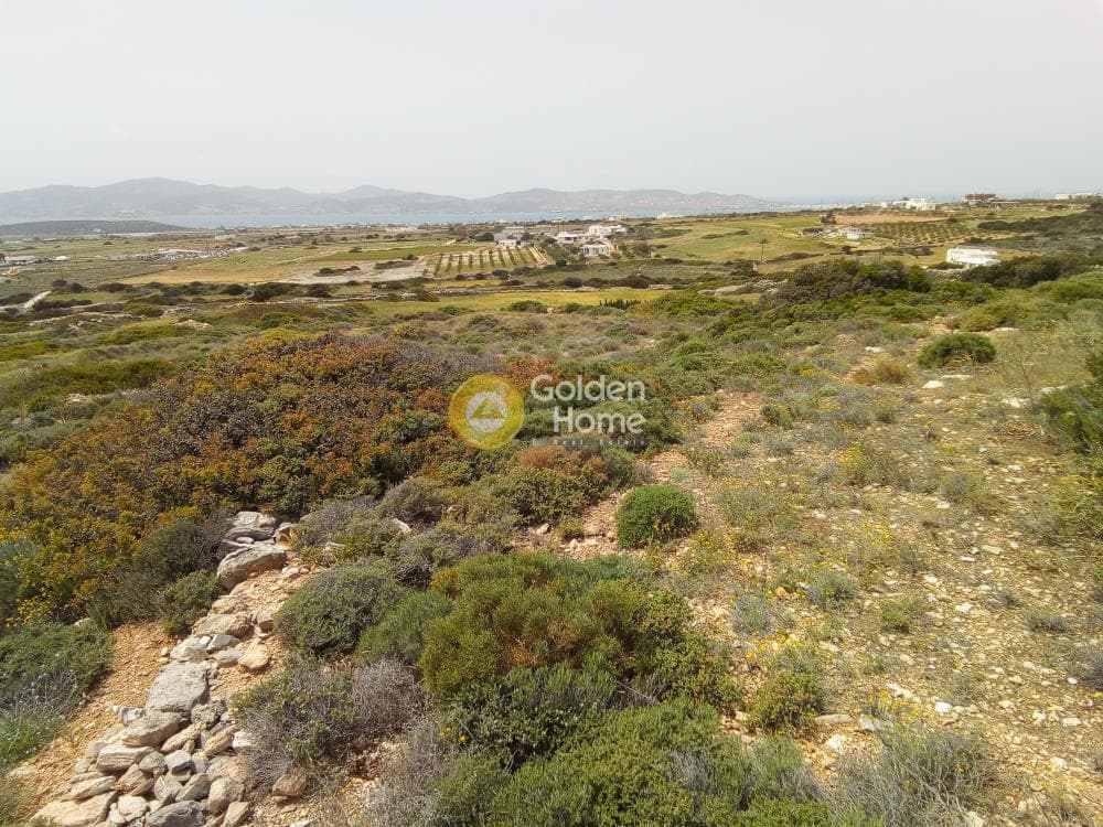 Parcel in Aliki, Paros — Photo 3 of 5