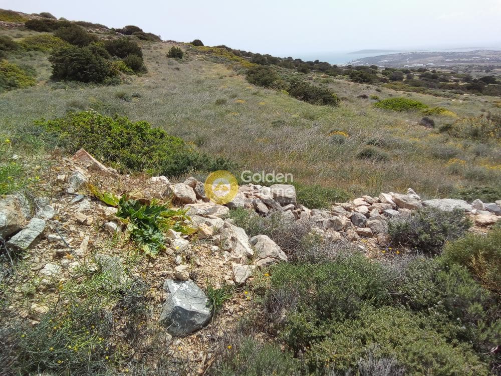 Parcel in Aliki, Paros — Photo 4 of 5