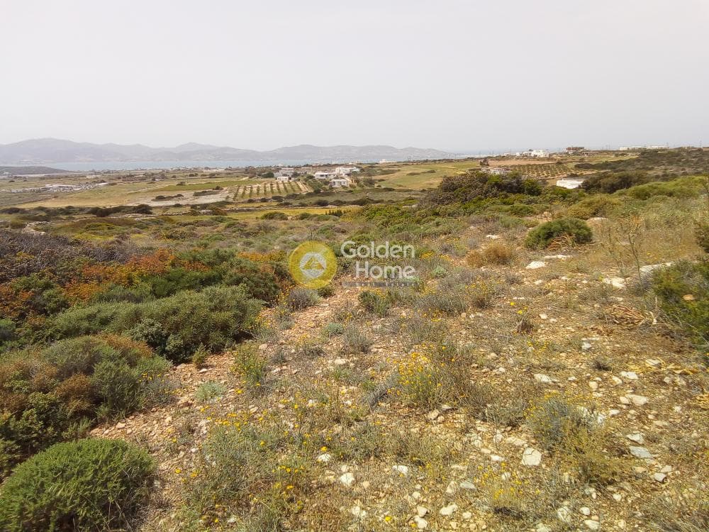 Parcel in Aliki, Paros — Photo 5 of 5