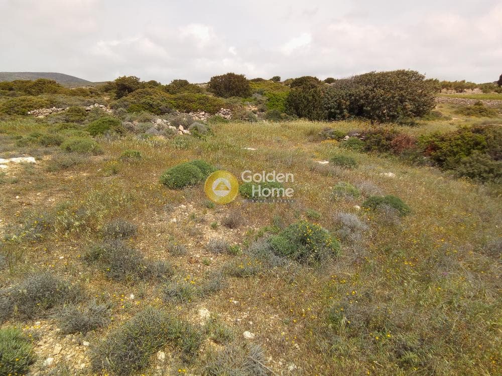 Parcel in Aliki, Paros — Photo 4 of 6
