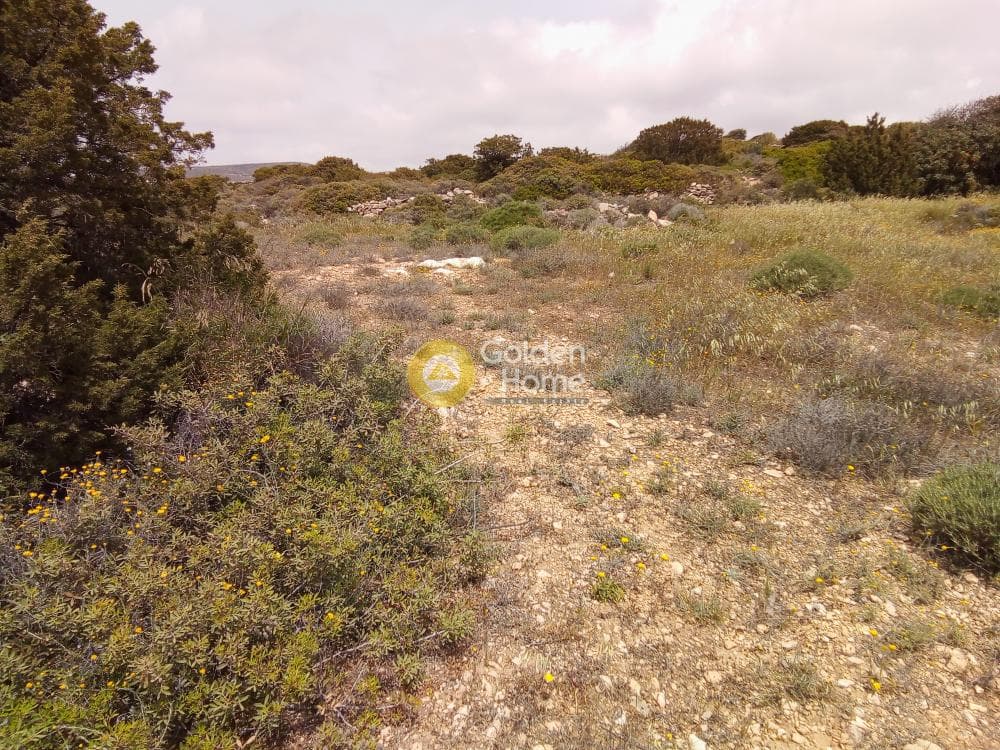 Parcel in Aliki, Paros — Photo 5 of 6