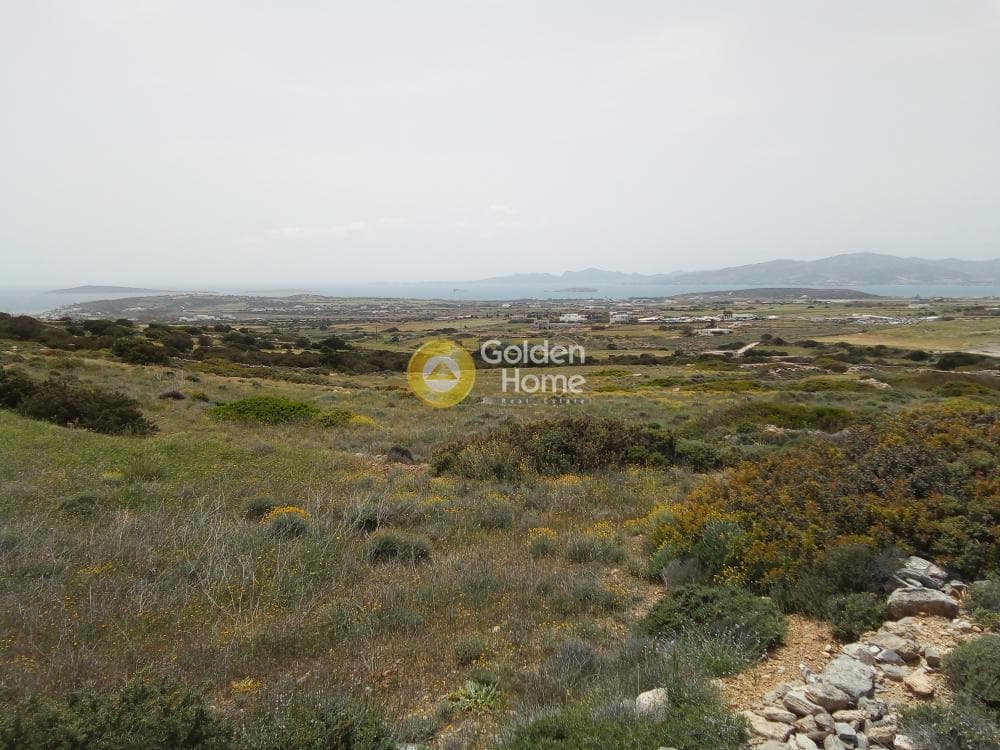 Parcel in Aliki, Paros — Photo 5 of 7