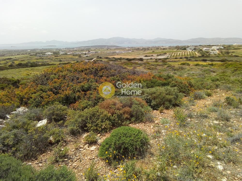 Parcel in Aliki, Paros — Photo 7 of 7