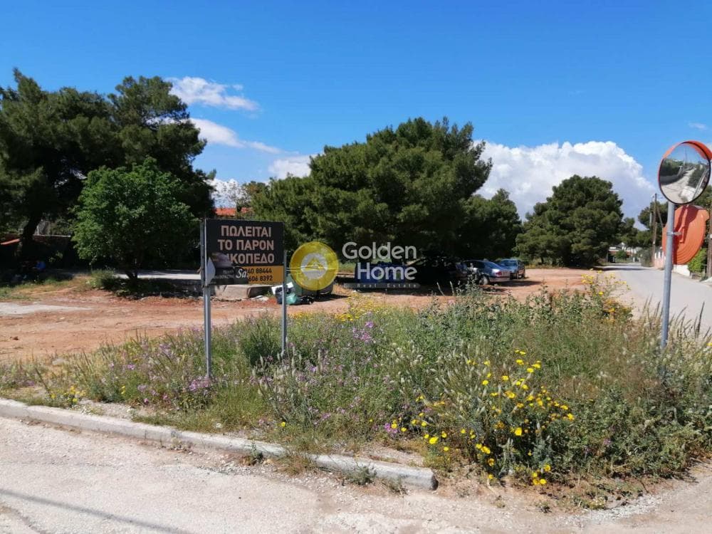 Αγροτεμάχιο στην Άγιος Σεραφείμ, Αρτέμιδα (Λούτσα) — Φωτογραφία 2 από 4