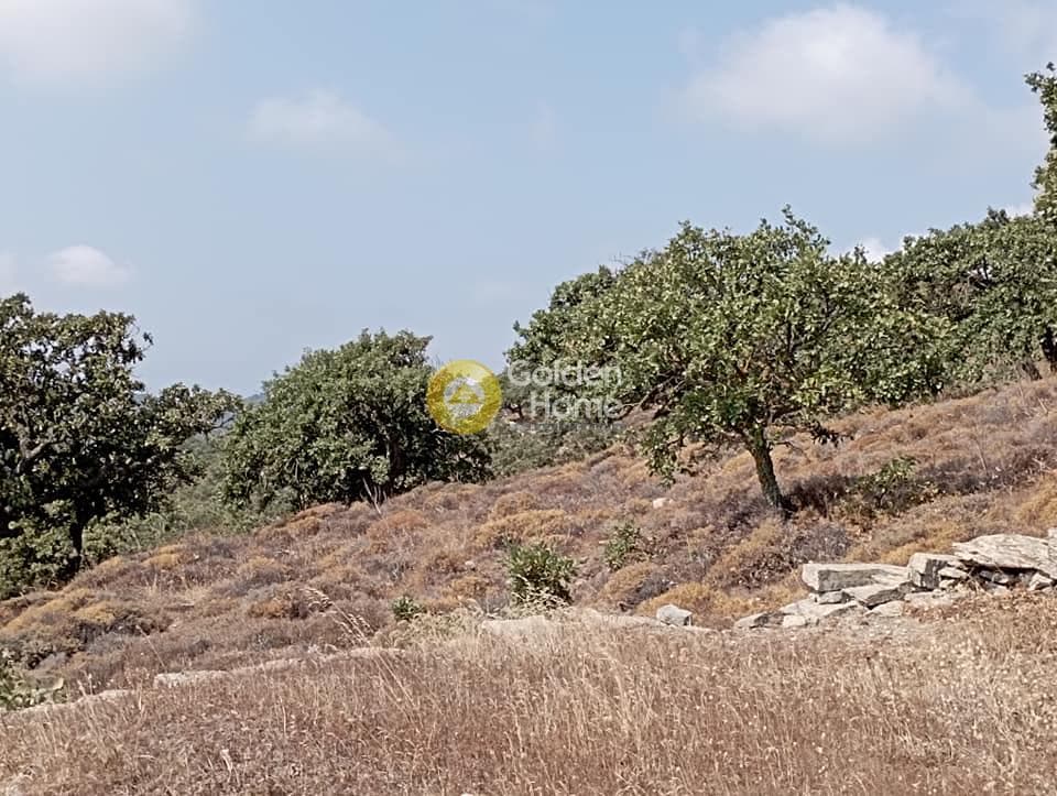 Building Plot in Agia Mavra, Kea — Photo 3 of 16