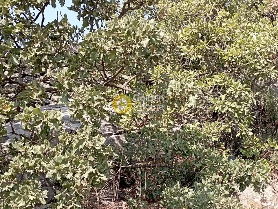 Building Plot in Agia Mavra, Kea — Photo 14 of 16