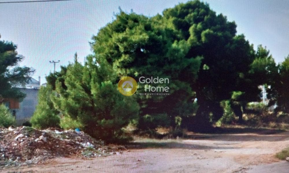 Οικόπεδο στην Άγιος Σεραφείμ, Αρτέμιδα (Λούτσα)