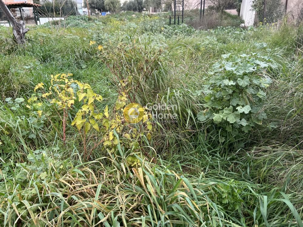 Οικόπεδο στην Γερόβουνο, Καματερό — Φωτογραφία 4 από 4
