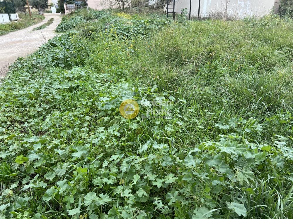 Οικόπεδο στην Γερόβουνο, Καματερό — Φωτογραφία 3 από 4