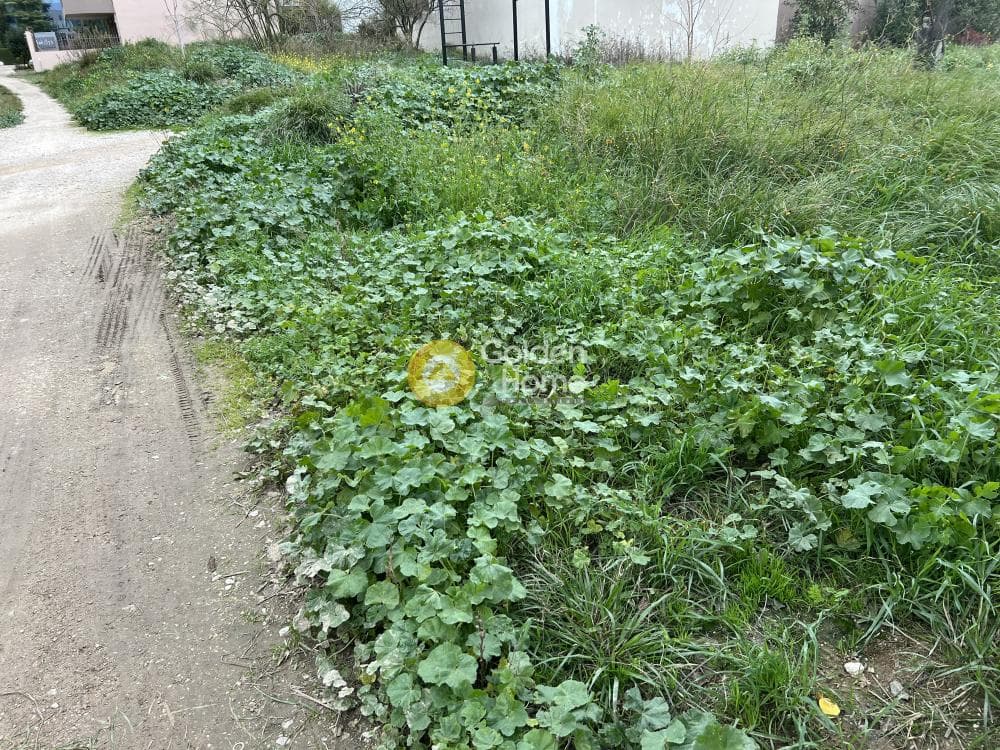Οικόπεδο στην Γερόβουνο, Καματερό — Φωτογραφία 2 από 4
