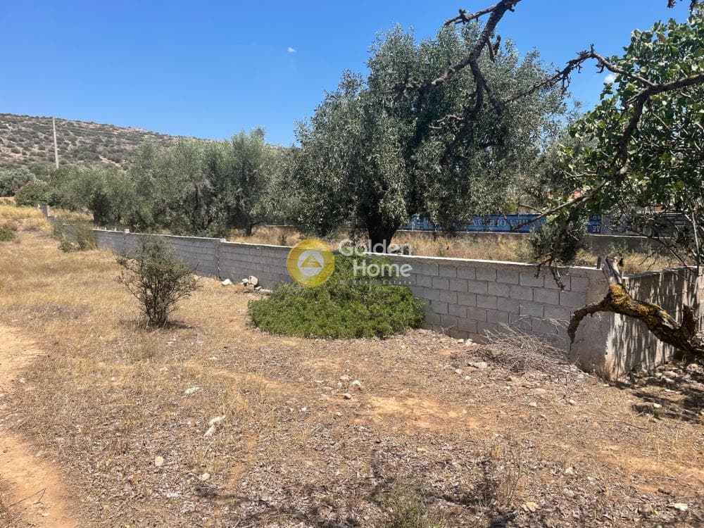 Building Plot in Lamprika, Koropi — Photo 3 of 3