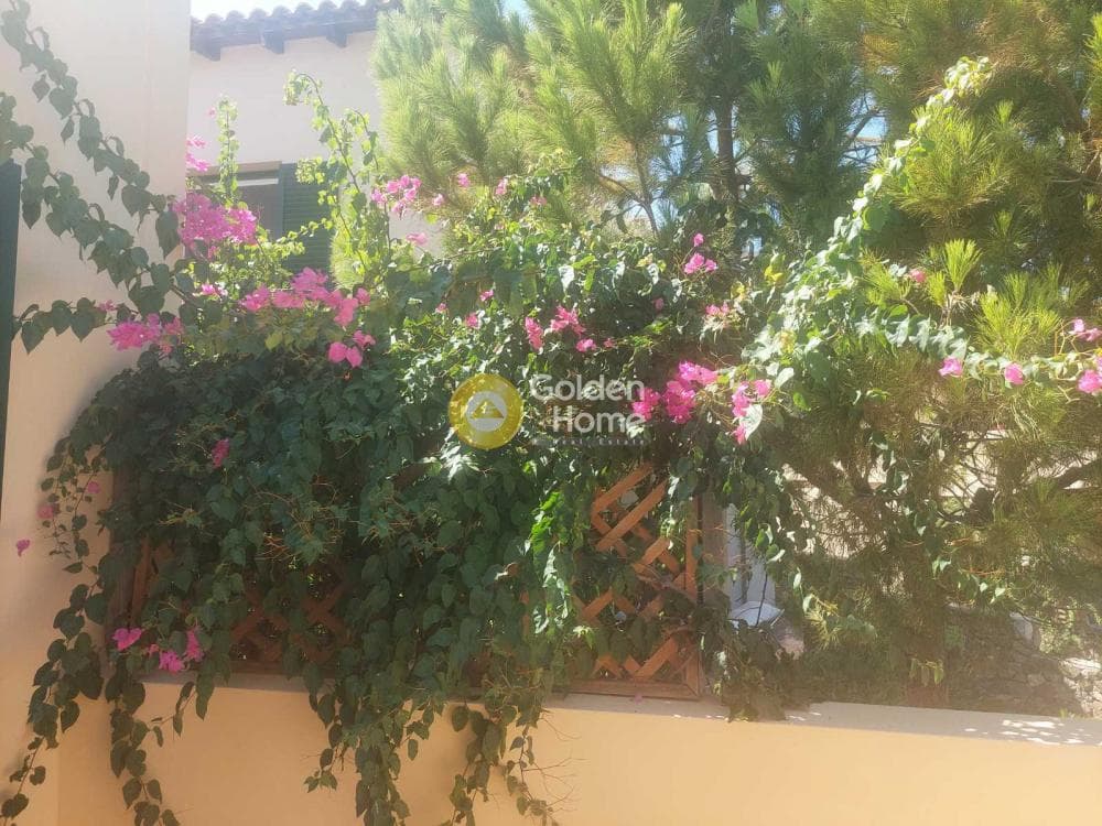 Μονοκατοικία στην Κυψέλη, Αίγινα — Φωτογραφία 17 από 26