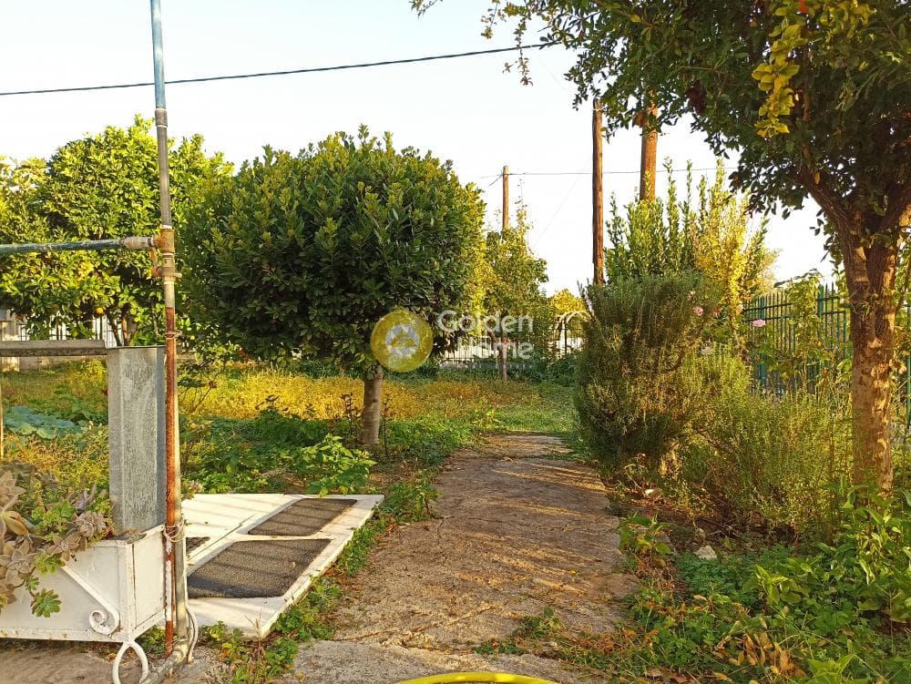 Μονοκατοικία στην Παναγιά, Οινόφυτα — Φωτογραφία 5 από 41